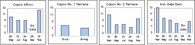 Undisplayed Graphic