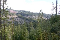 clearcuts_on_beatty_ridge_as_seen_from_west_sm.jpg 106K