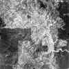 1961_buckeye.jpg (627697 bytes)