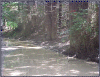 road_nfgual_haul.gif (324410 bytes)