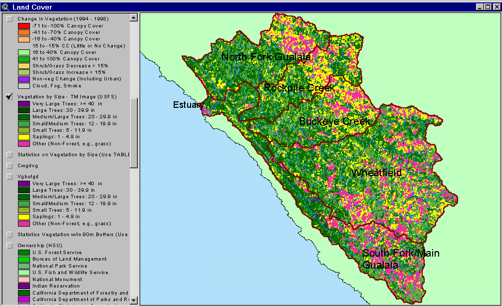 coniferous forest map. oak and coniferous forest.