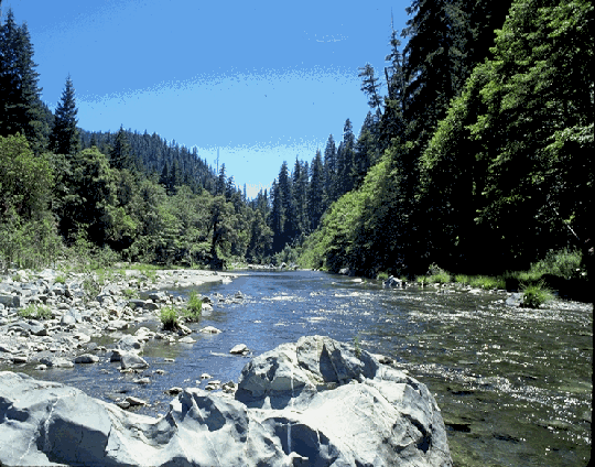 South Fork Trinity River Land