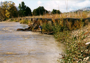 streambank restoration, early stage Photo by Chris Tebbutt